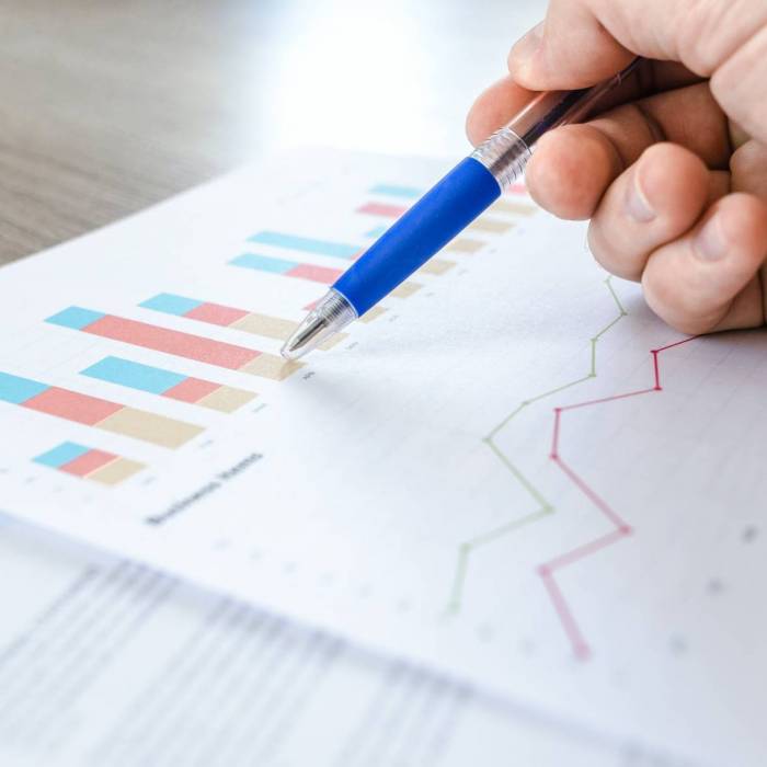 Software Financial System - Versión Empresas (Licencia Anual)
